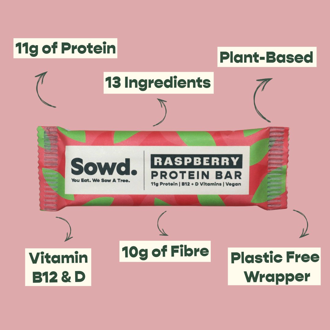 Raspberry Protein Bars